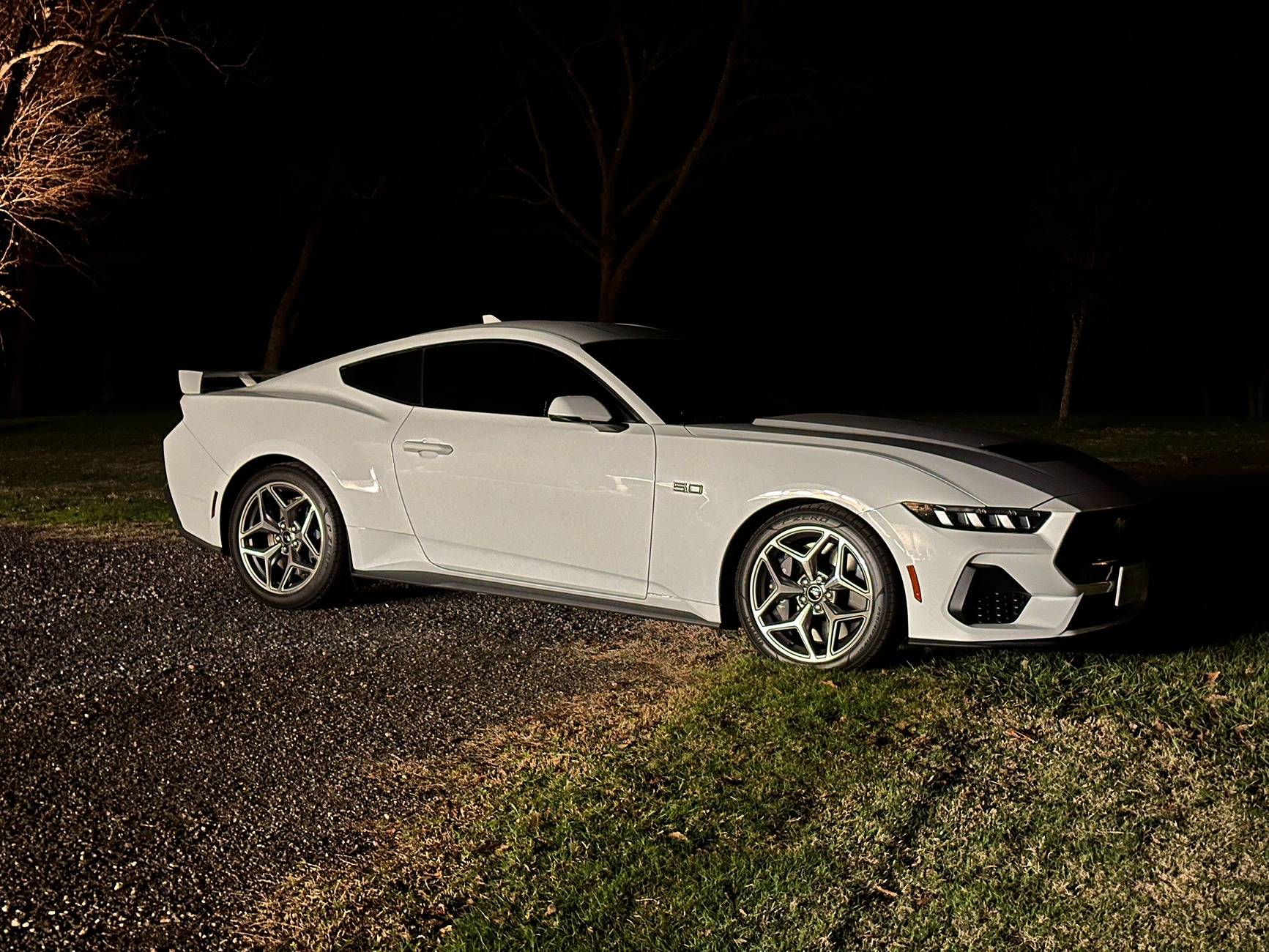 S650 Mustang Cool Daily Random S650 Mustang Pics -- Post Yours! 📸 IMG_3099