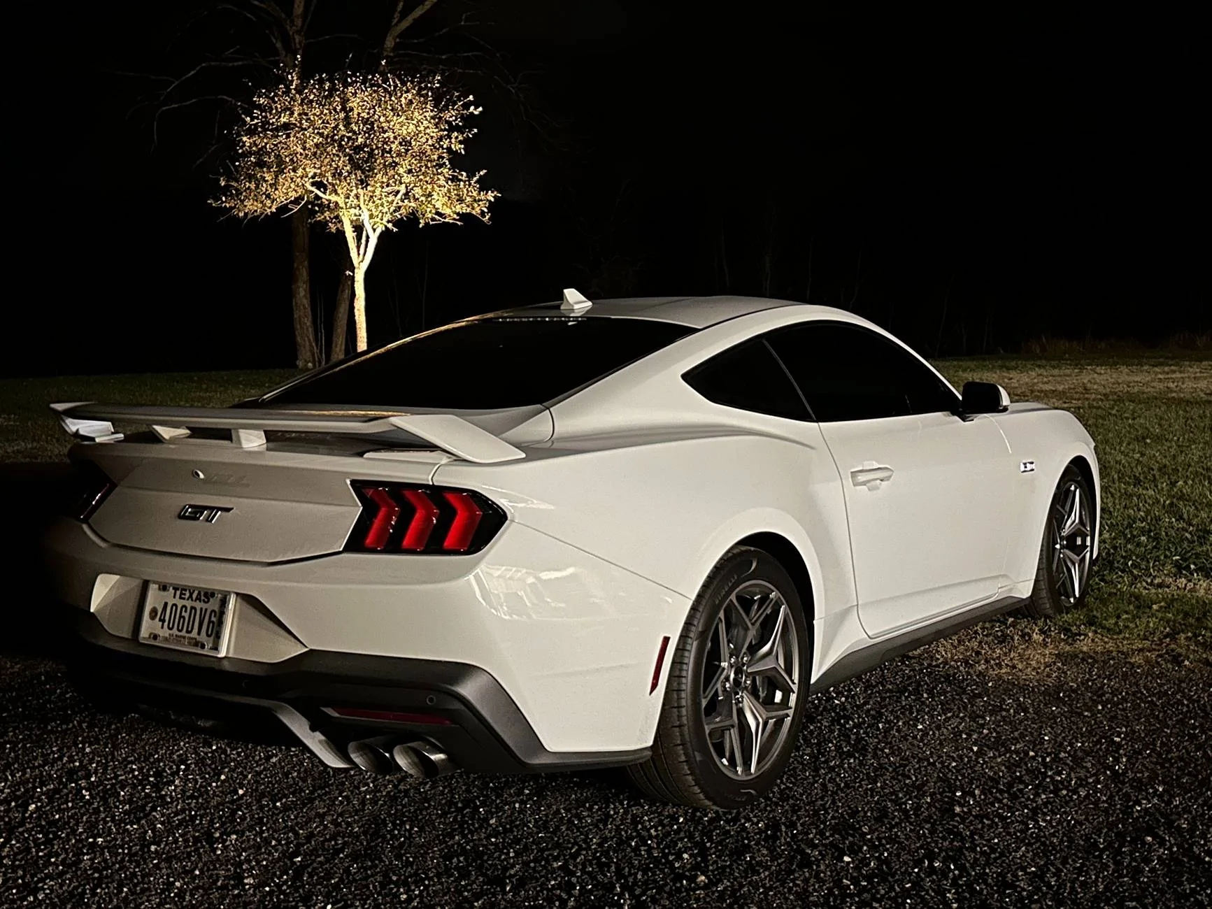 S650 Mustang Cool Daily Random S650 Mustang Pics -- Post Yours! 📸 IMG_3098