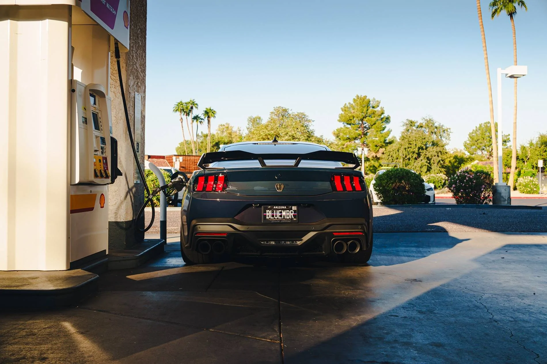 S650 Mustang Cool Daily Random S650 Mustang Pics -- Post Yours! 📸 DSC00402