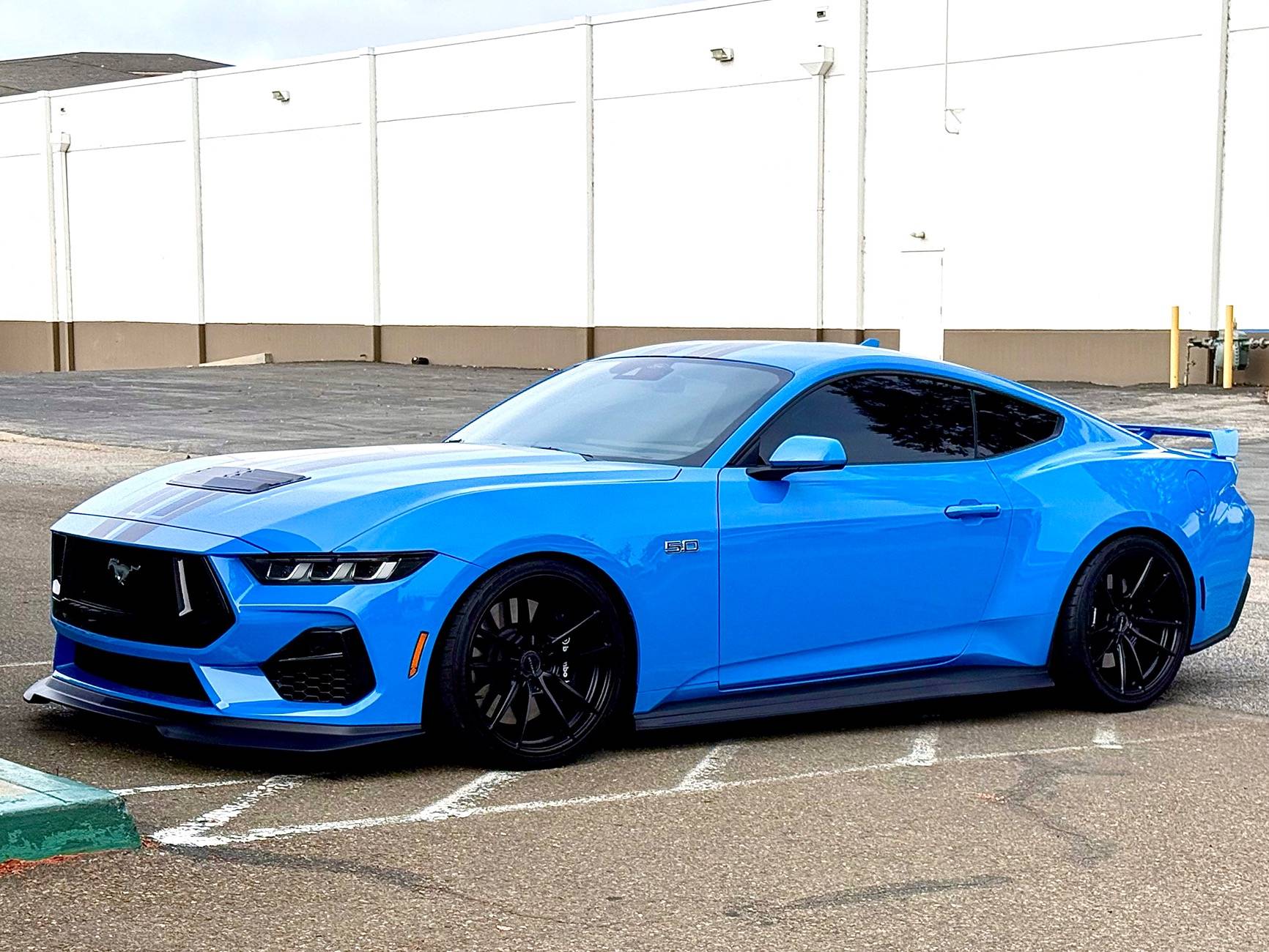 S650 Mustang Official GRABBER BLUE Mustang S650 Thread IMG_4038