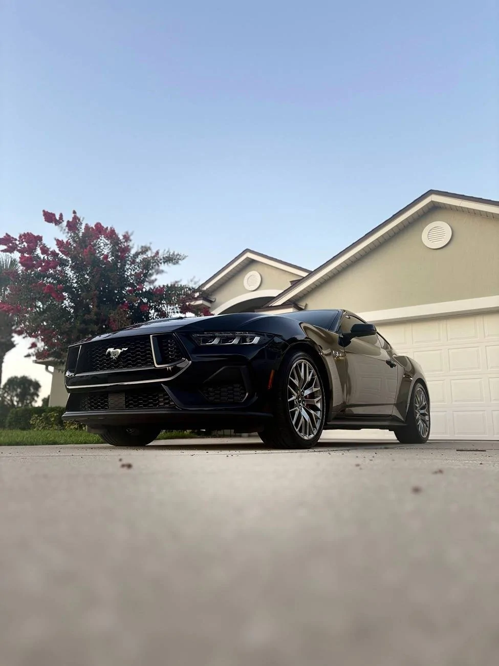 S650 Mustang Some pics of my 24 GT Premium (because people asked) IMG_3087