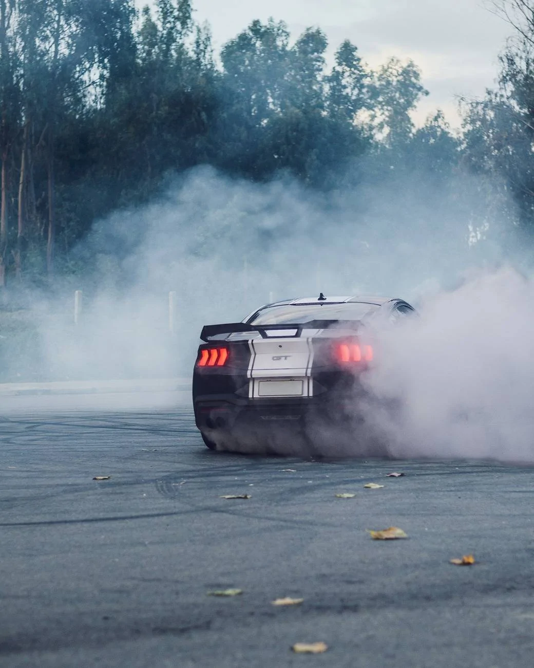 S650 Mustang Cool Daily Random S650 Mustang Pics -- Post Yours! 📸 4