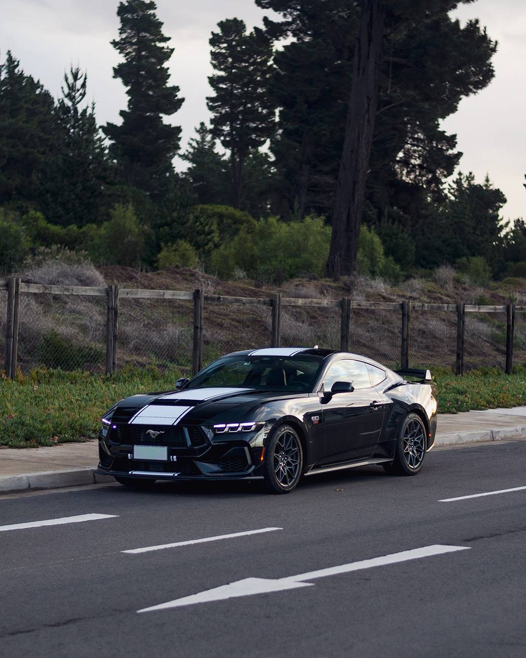 S650 Mustang Cool Daily Random S650 Mustang Pics -- Post Yours! 📸 IMG_1551.JPG