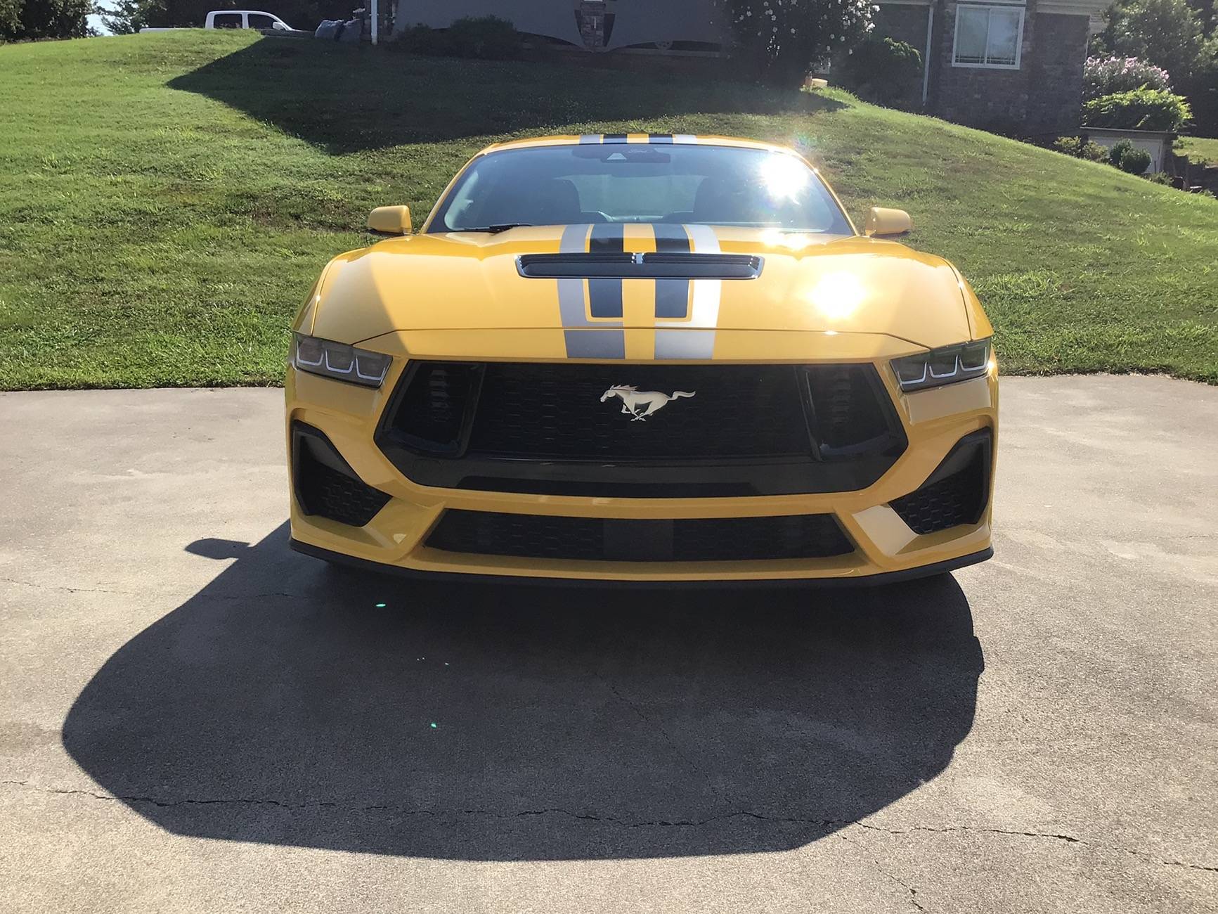 S650 Mustang Introductions & Welcome Thread 👋 IMG_0057