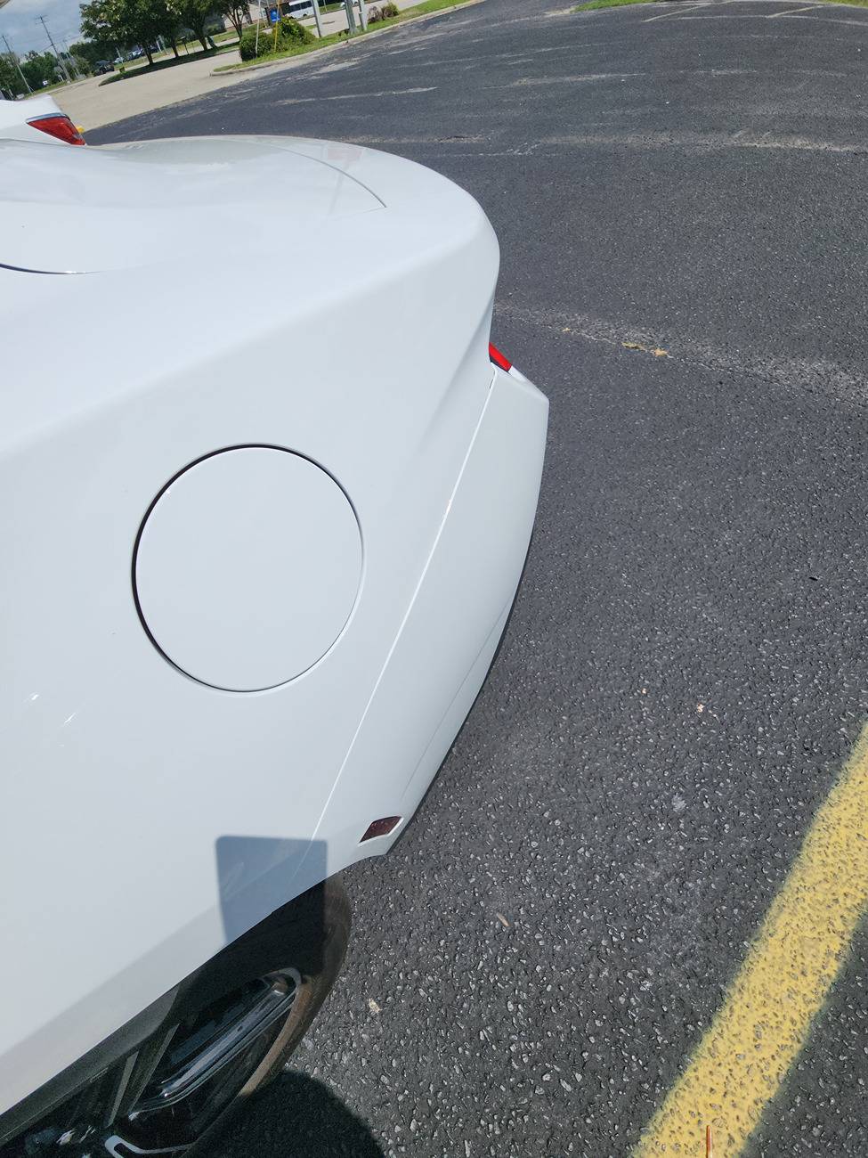 S650 Mustang Cool Daily Random S650 Mustang Pics -- Post Yours! 📸 20250703_143108