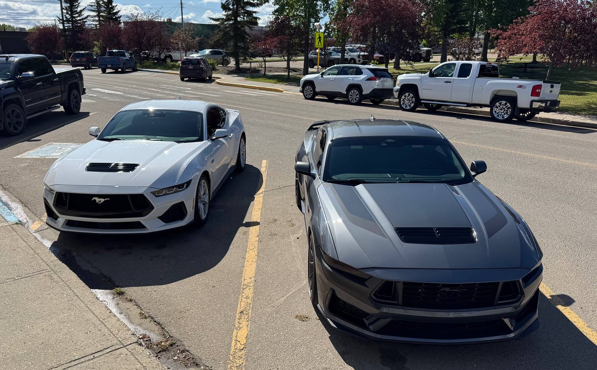 S650 Mustang Cool Daily Random S650 Mustang Pics -- Post Yours! 📸 IMG_8253