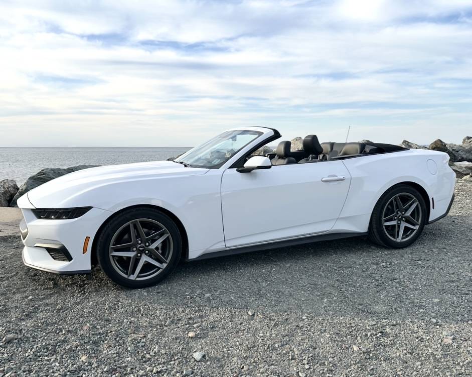 S650 Mustang Official OXFORD WHITE Mustang S650 Thread IMG_6248