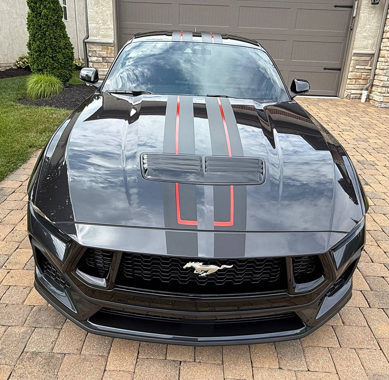 S650 Mustang Introductions & Welcome Thread 👋 IMG_4765