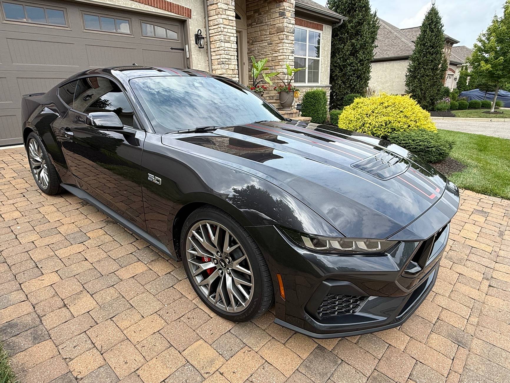 S650 Mustang Introductions & Welcome Thread 👋 IMG_4764