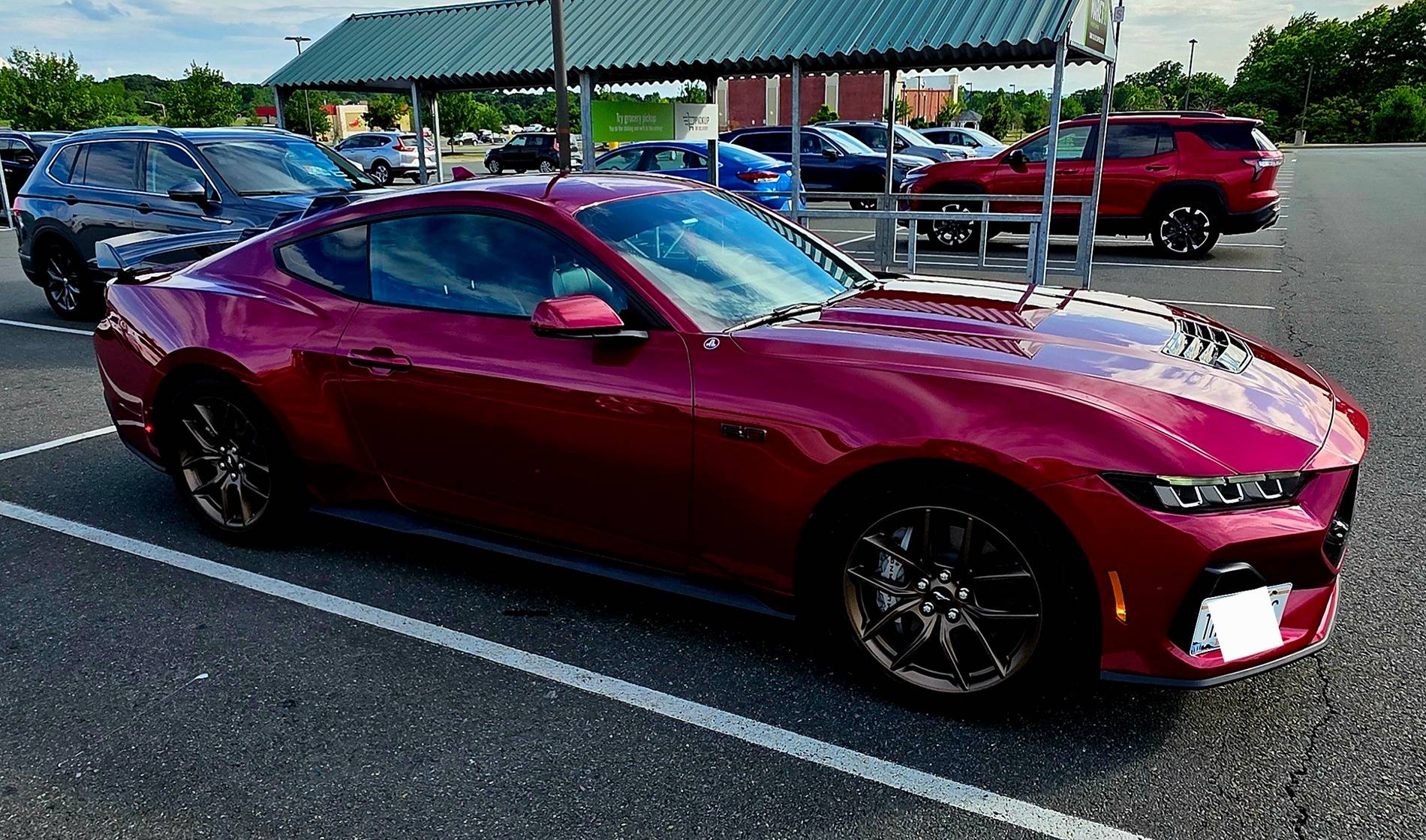 S650 Mustang Official MOLTEN MAGENTA Mustang S650 Thread 1000021842