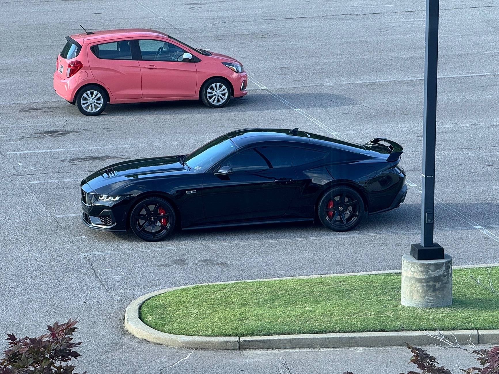 S650 Mustang Tint Ideas IMG_3665