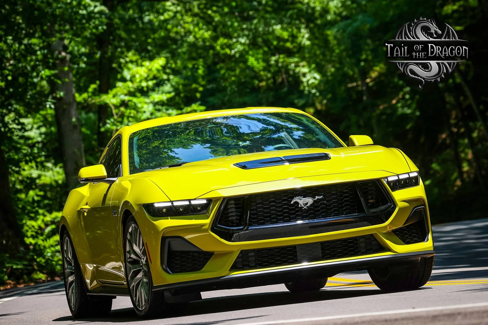 S650 Mustang Introductions & Welcome Thread 👋 Dragon 1