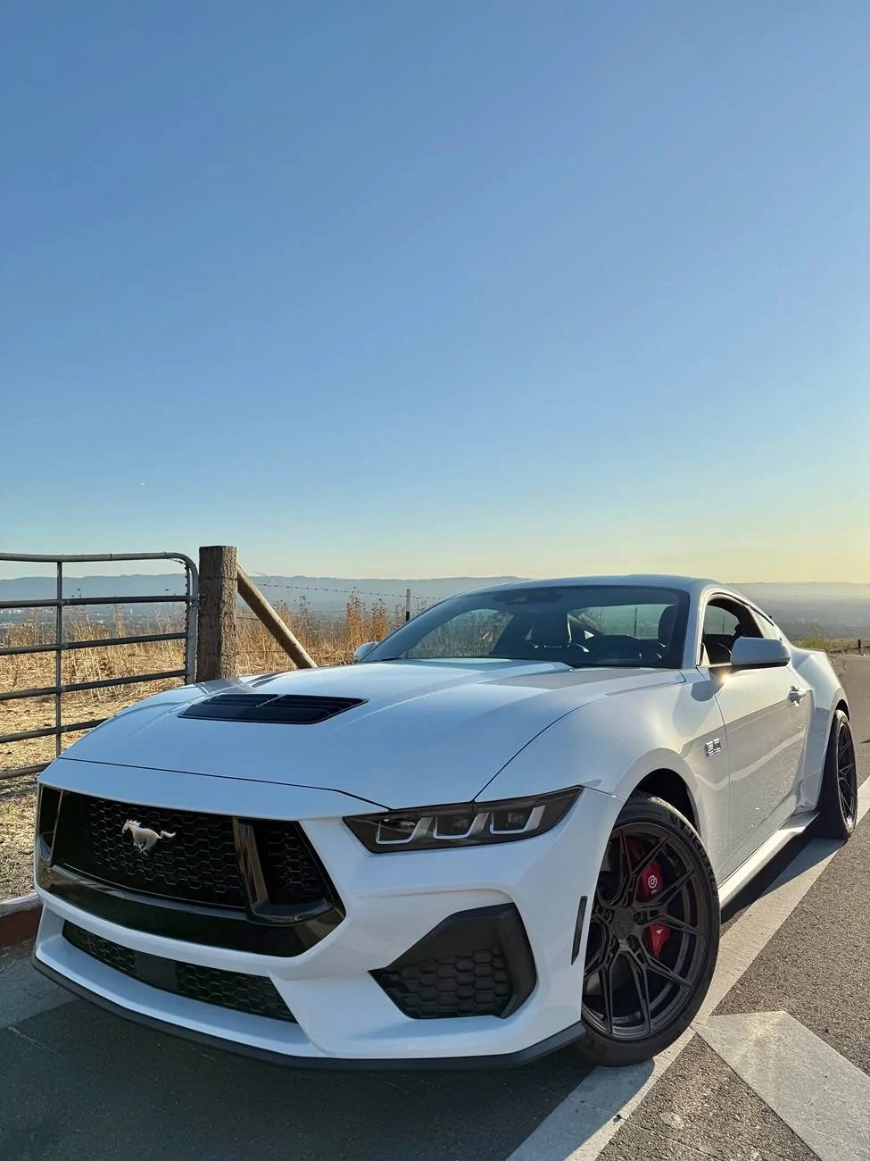 S650 Mustang Anyone Running Variant Wheels Evo line? IMG_7515