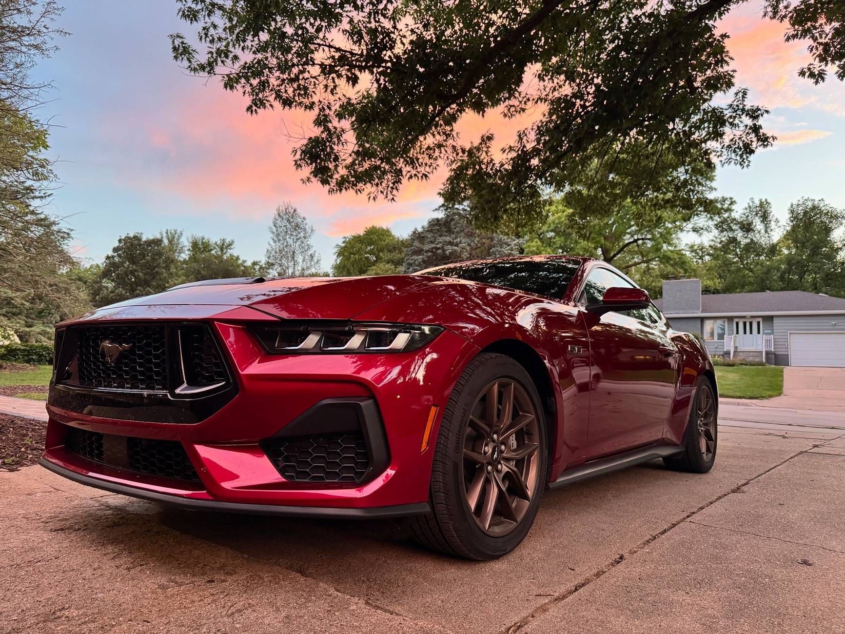 S650 Mustang Official MOLTEN MAGENTA Mustang S650 Thread IMG_2621