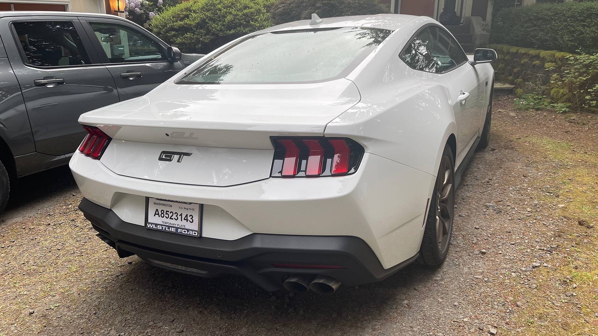 S650 Mustang To Spoil, or Not to Spoil... IMG_5749
