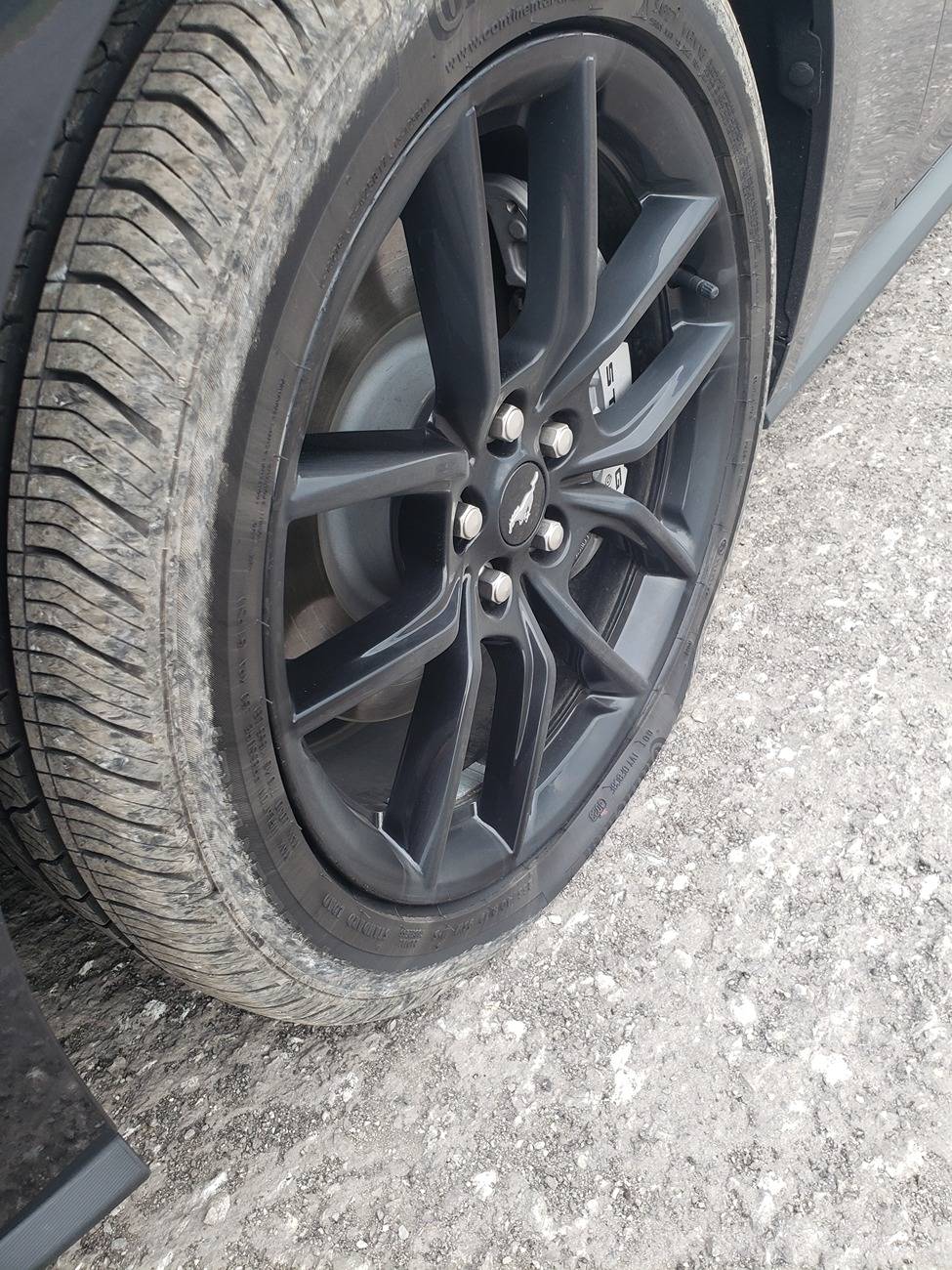 S650 Mustang How expensive is your oil change? 20250628_172256