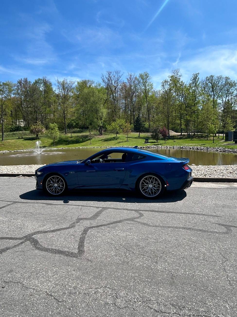 S650 Mustang Cool Daily Random S650 Mustang Pics -- Post Yours! 📸 IMG_4146