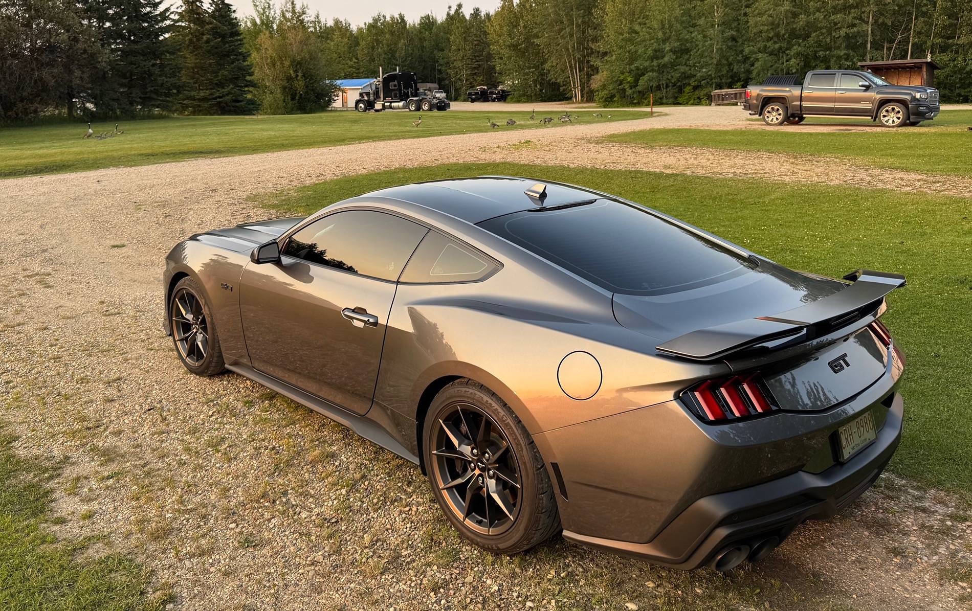 S650 Mustang Official CARBONIZED GRAY Mustang S650 Thread IMG_8279