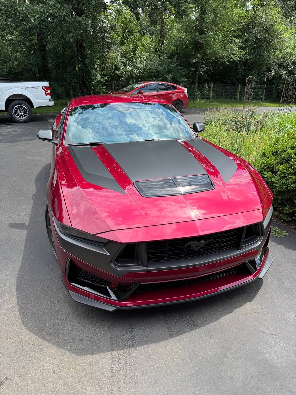 S650 Mustang Official MOLTEN MAGENTA Mustang S650 Thread IMG_4635
