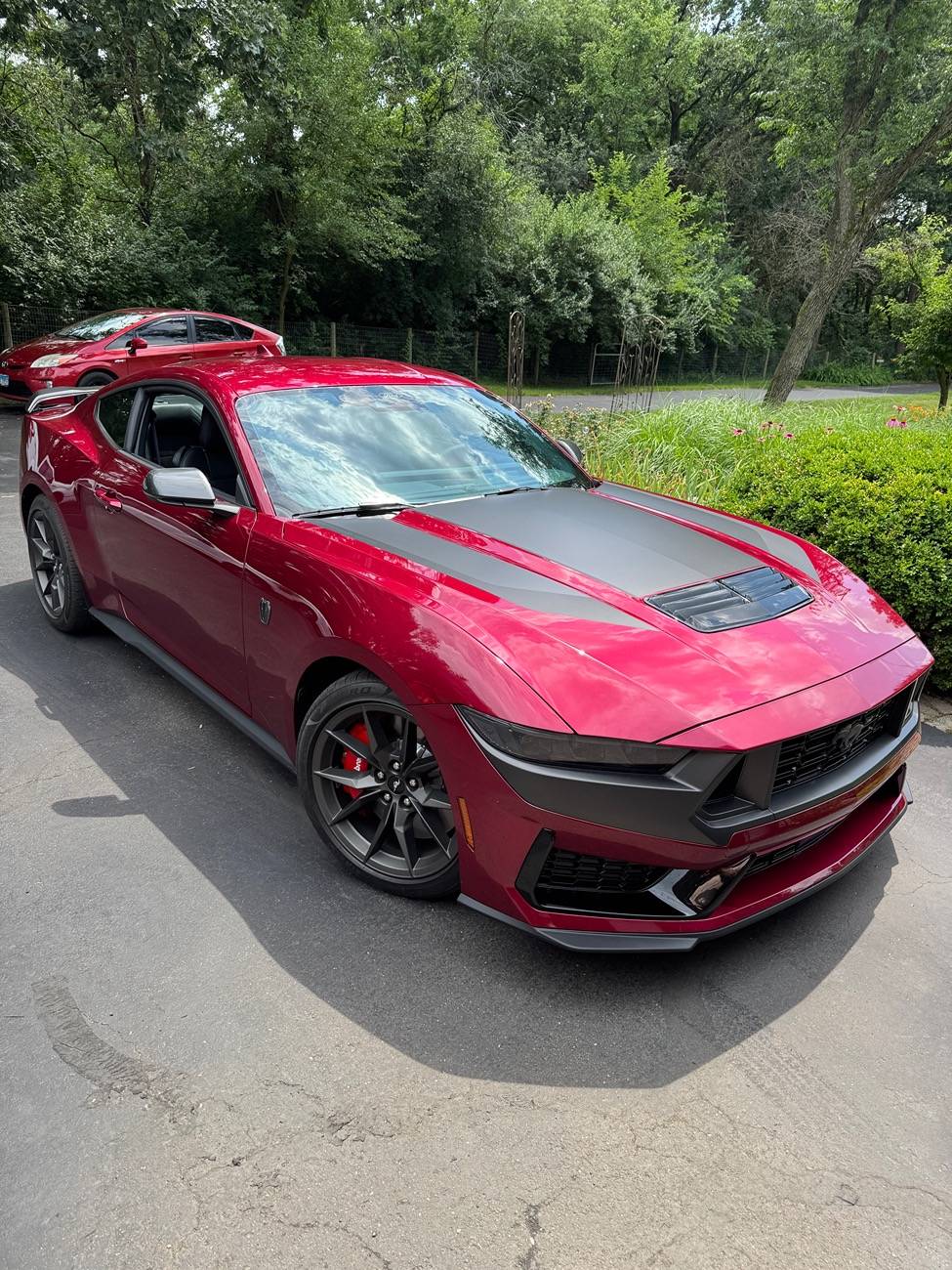 S650 Mustang Official MOLTEN MAGENTA Mustang S650 Thread IMG_4636