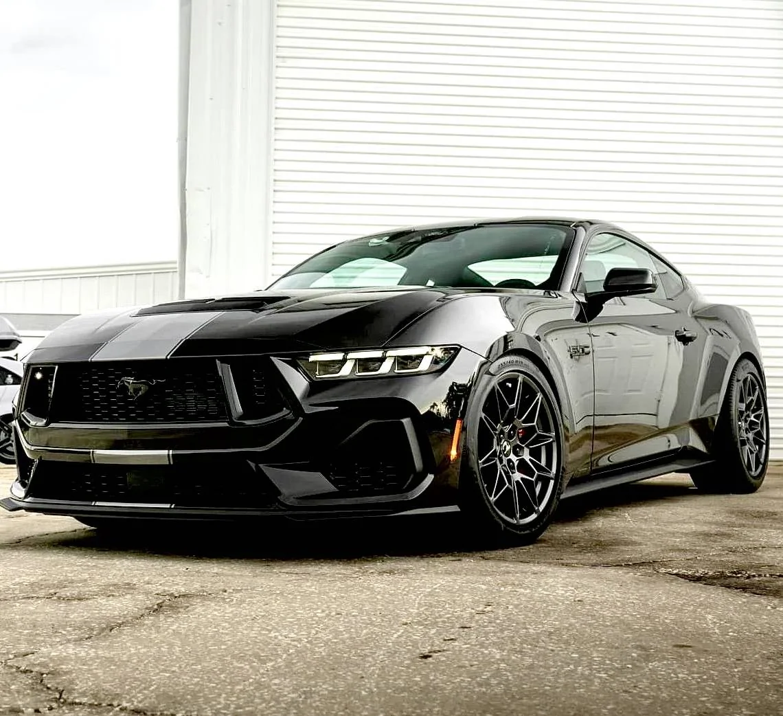 S650 Mustang Introductions & Welcome Thread 👋 IMG_2088