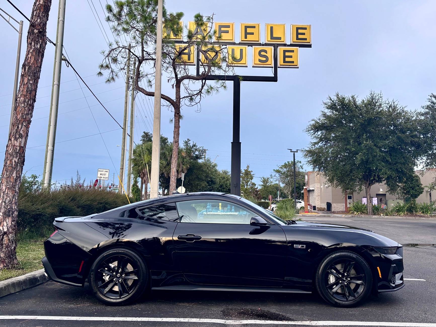S650 Mustang Introductions & Welcome Thread 👋 IMG_4643