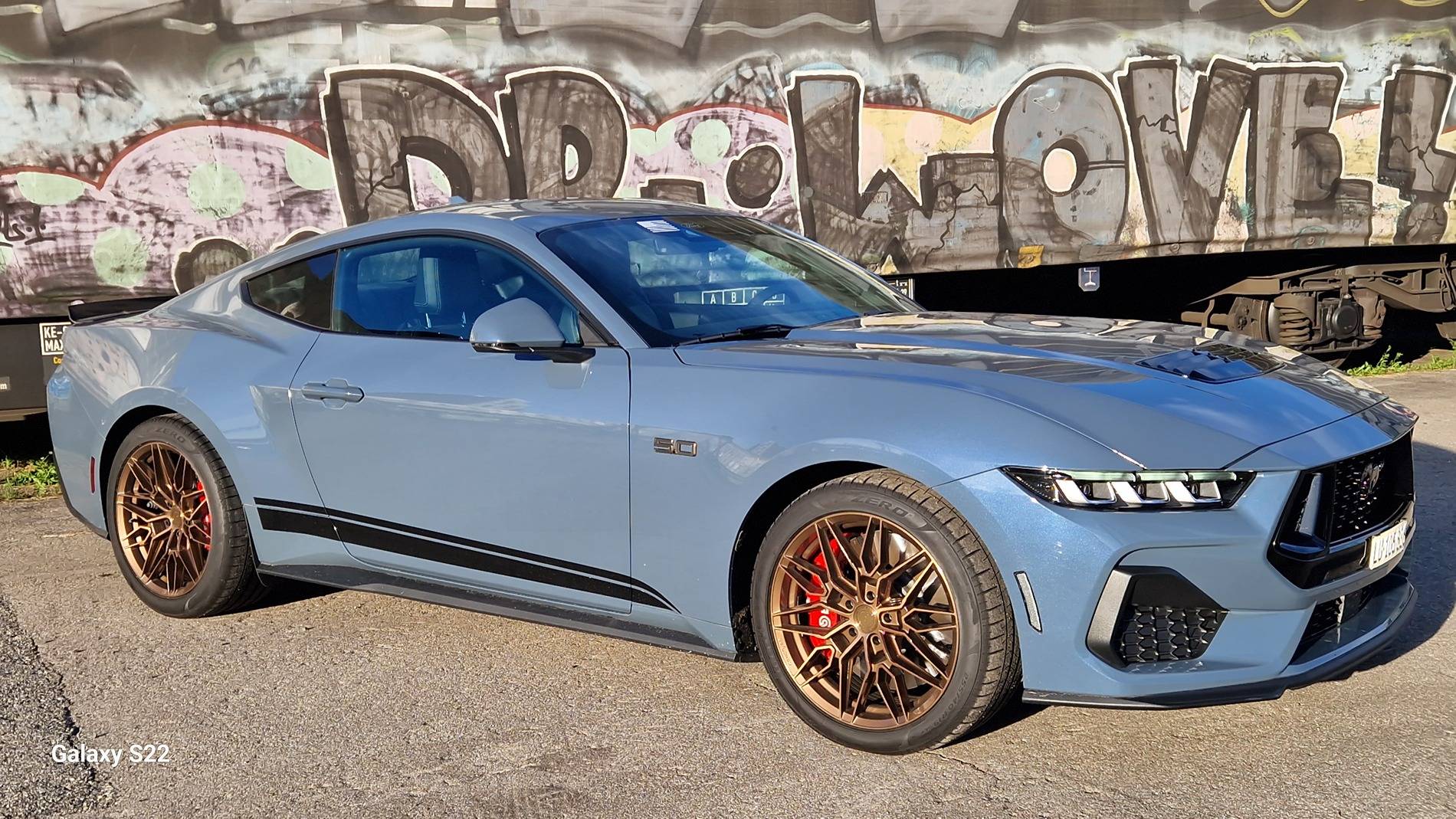 S650 Mustang Which color of rocker panel stripes with bronze package (sort of) 1000130443