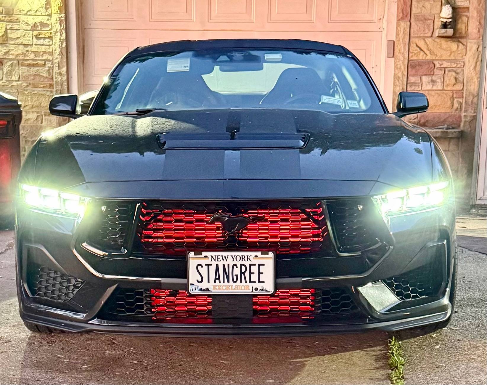 S650 Mustang Vanity License Plates IMG_2382