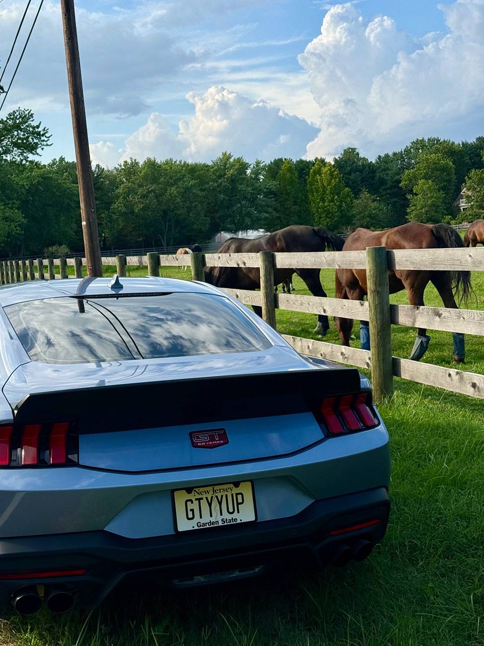 S650 Mustang Cool Daily Random S650 Mustang Pics -- Post Yours! 📸 IMG_1230