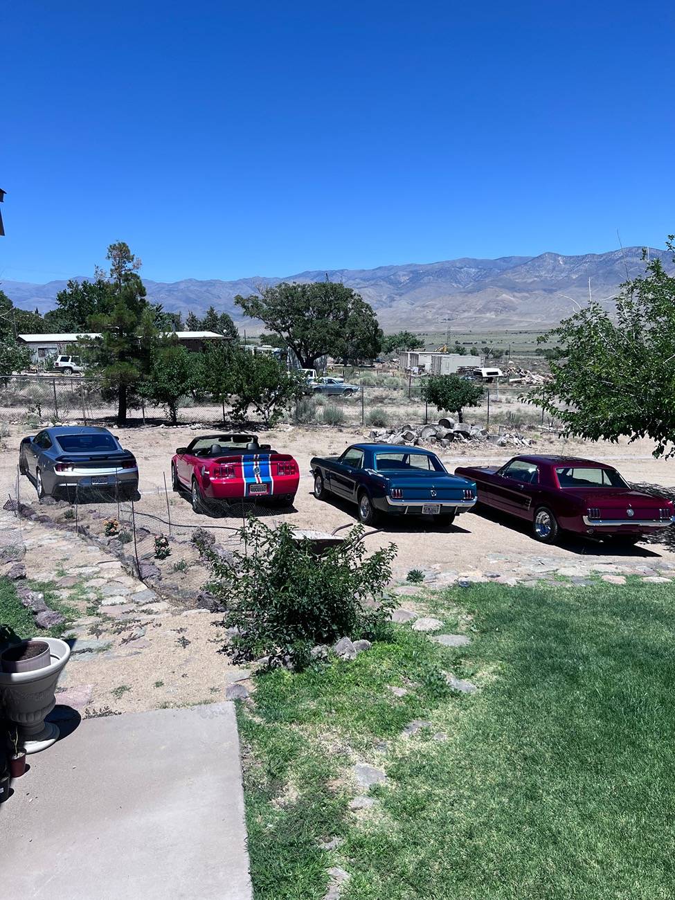 S650 Mustang Cool Daily Random S650 Mustang Pics -- Post Yours! 📸 IMG_0039