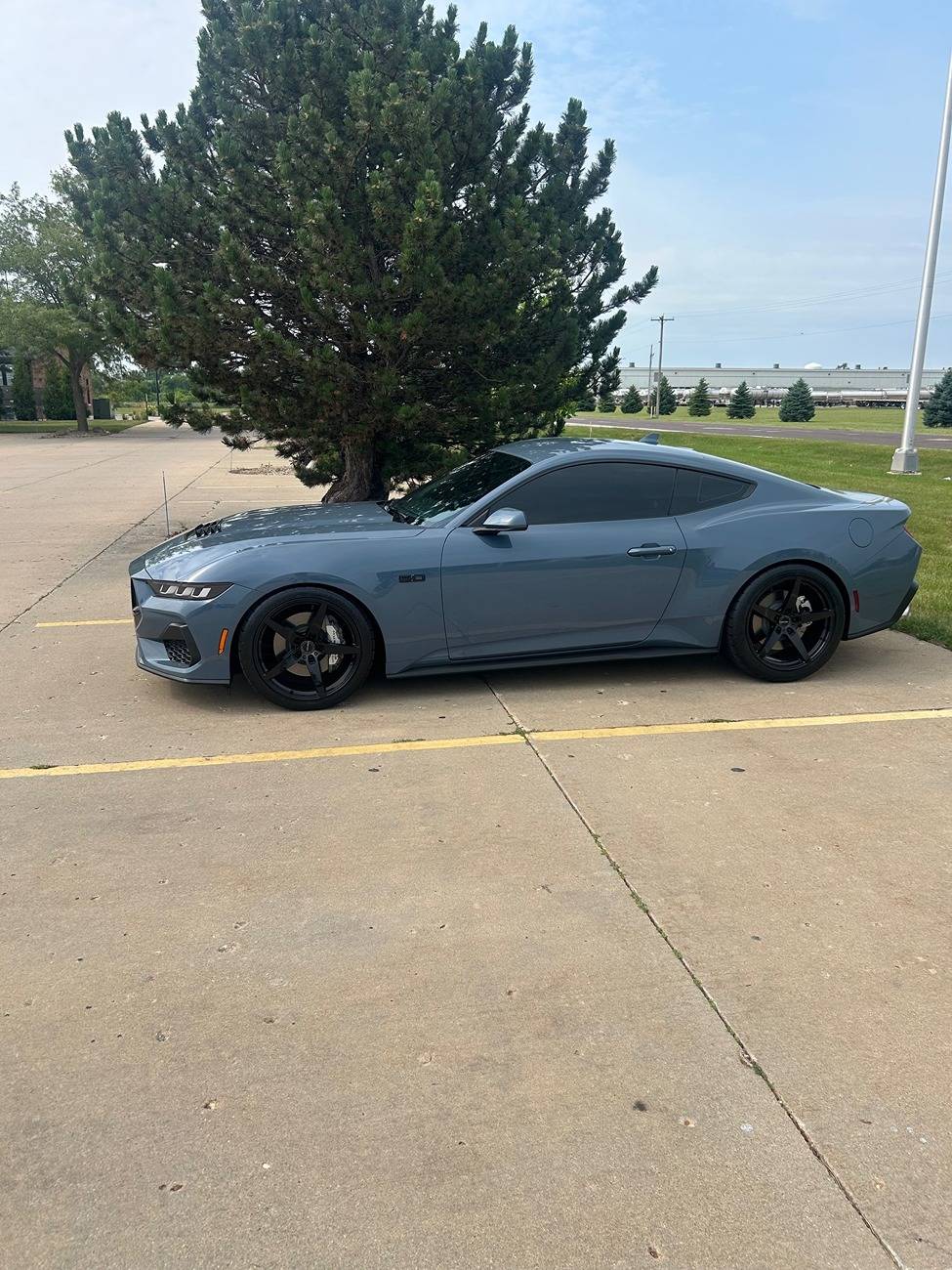 S650 Mustang Introductions & Welcome Thread 👋 IMG_3598