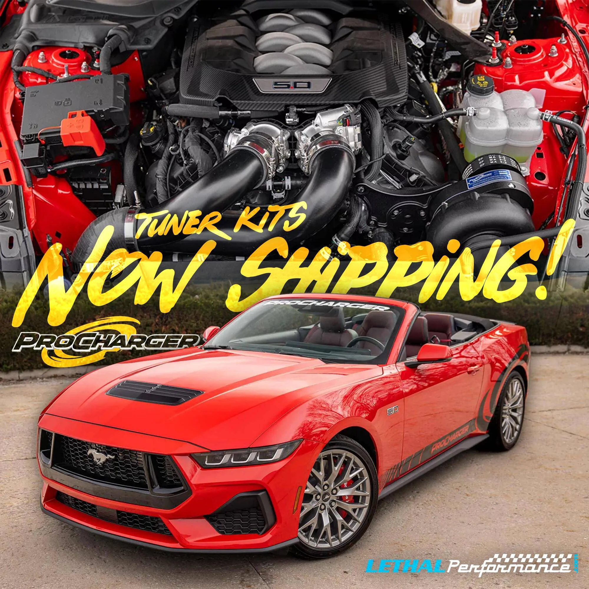 S650 Mustang Procharger Tuner Kits for S650 Mustang NOW SHIPPING! prochargr 2 tuer