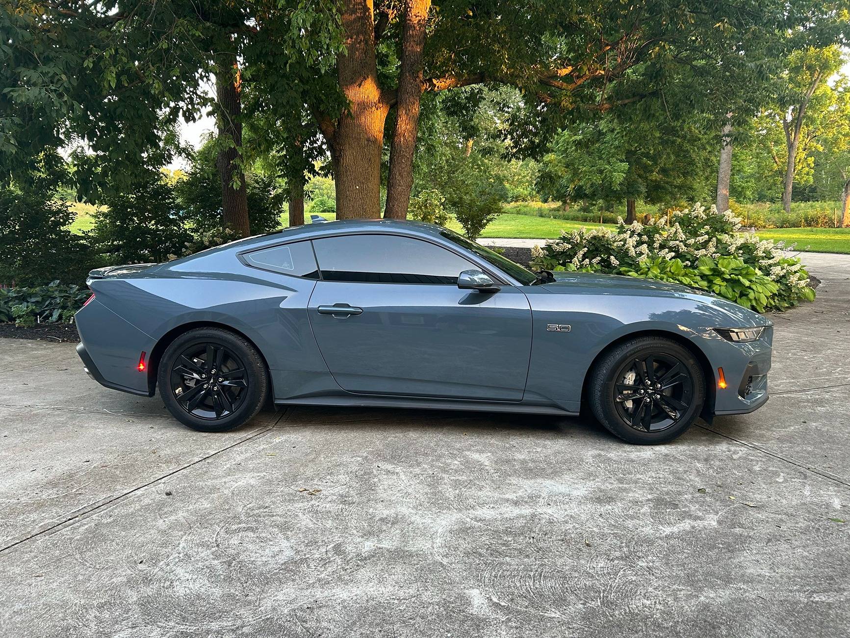 S650 Mustang Official VAPOR BLUE Mustang S650 Thread IMG_9076