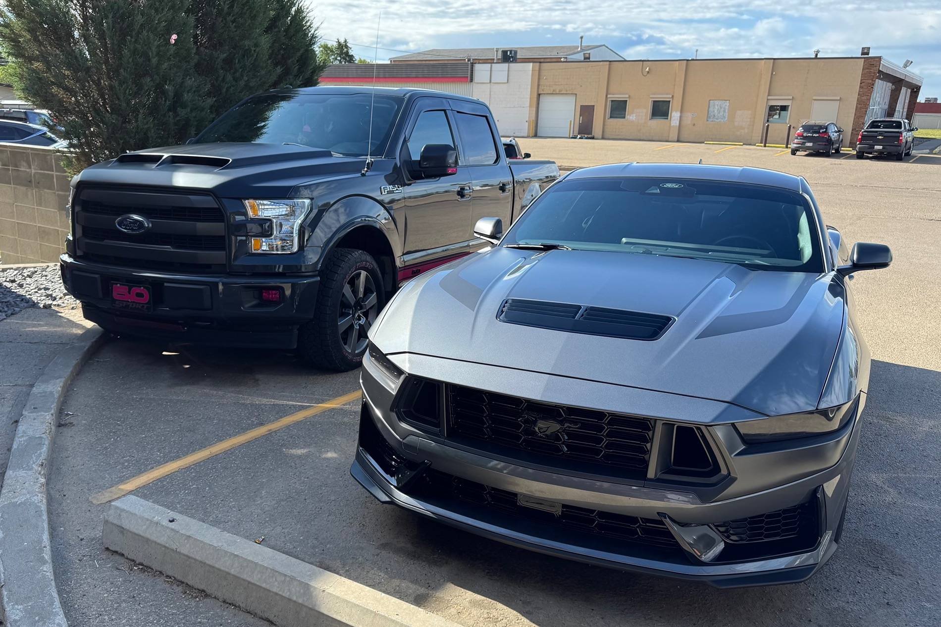 S650 Mustang Cool Daily Random S650 Mustang Pics -- Post Yours! 📸 IMG_8301