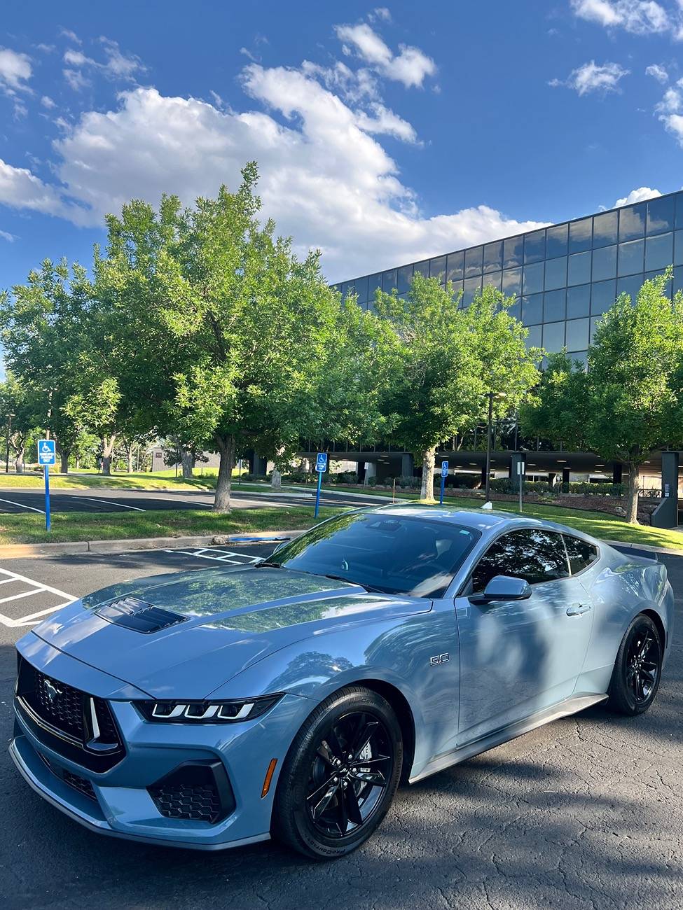 S650 Mustang Cool Daily Random S650 Mustang Pics -- Post Yours! 📸 IMG_6178