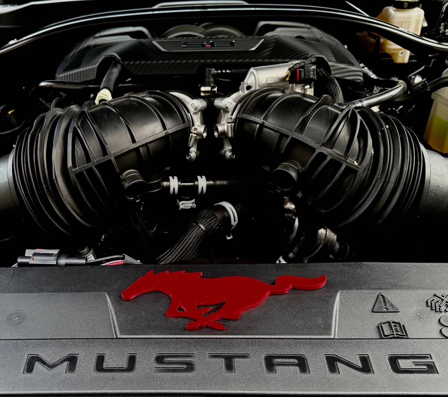 S650 Mustang Engine dress up. Is it too much? IMG_8207