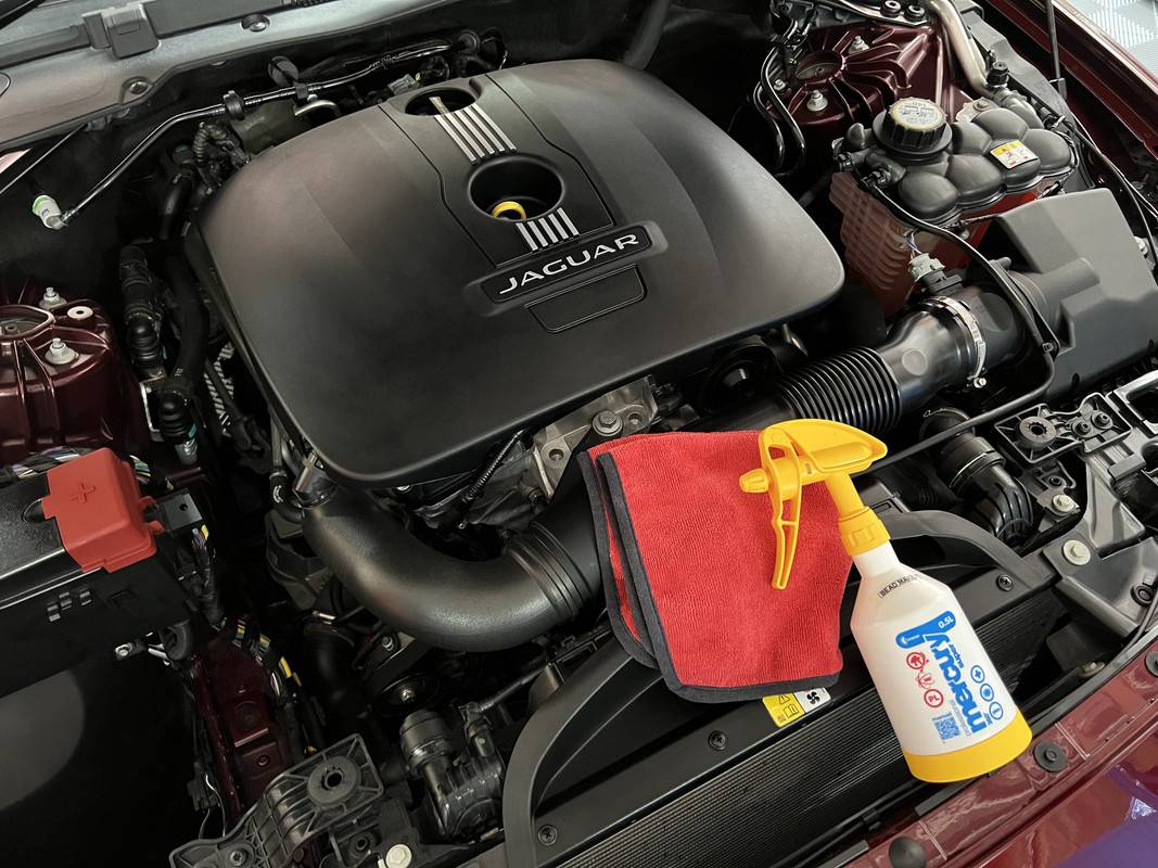 S650 Mustang Favourite All Purpose Cleaner for Engine Bay? IMG-4805