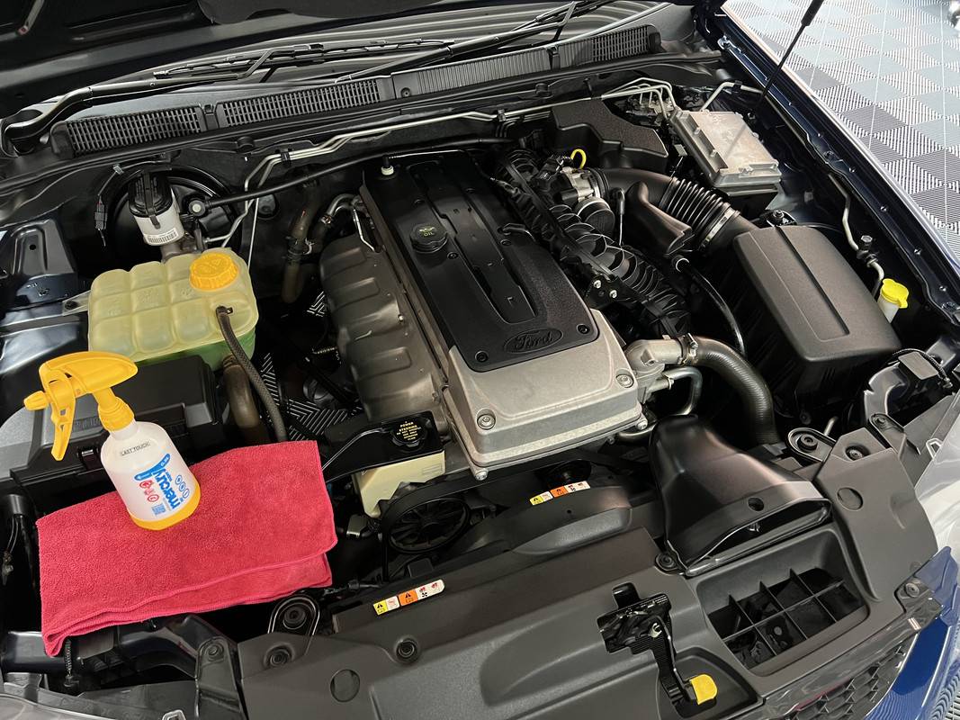 S650 Mustang Favourite All Purpose Cleaner for Engine Bay? IMG-5924