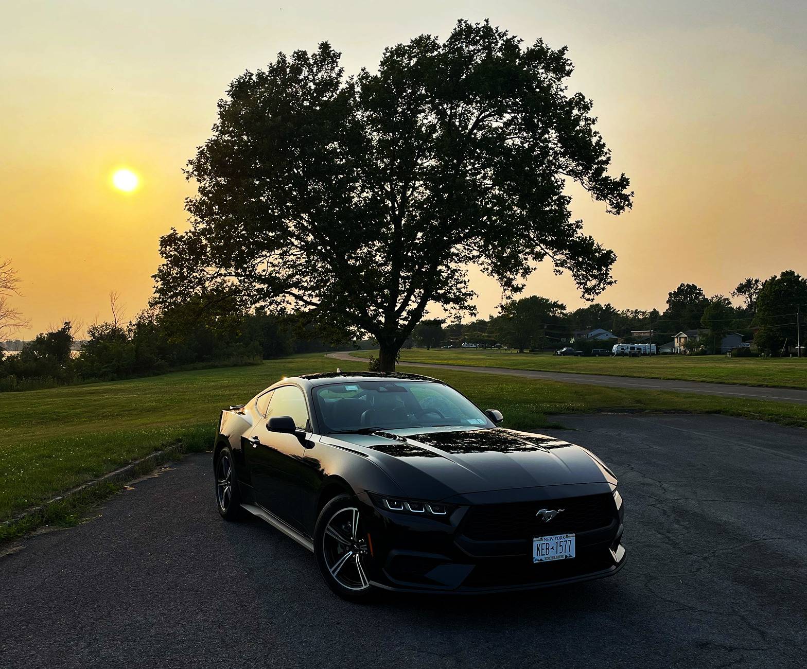 S650 Mustang Introductions & Welcome Thread 👋 20250714_234320014_iOS