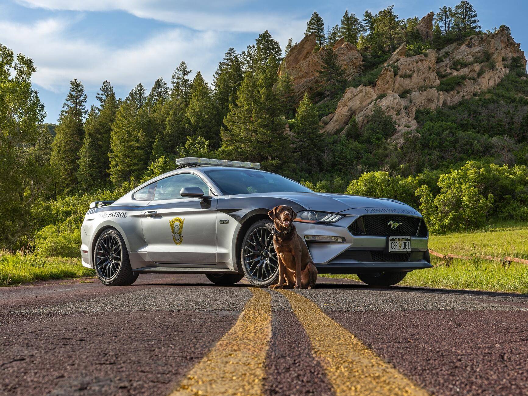 S650 Mustang Virginia State Trooper Mustang GT 1753197896185-x