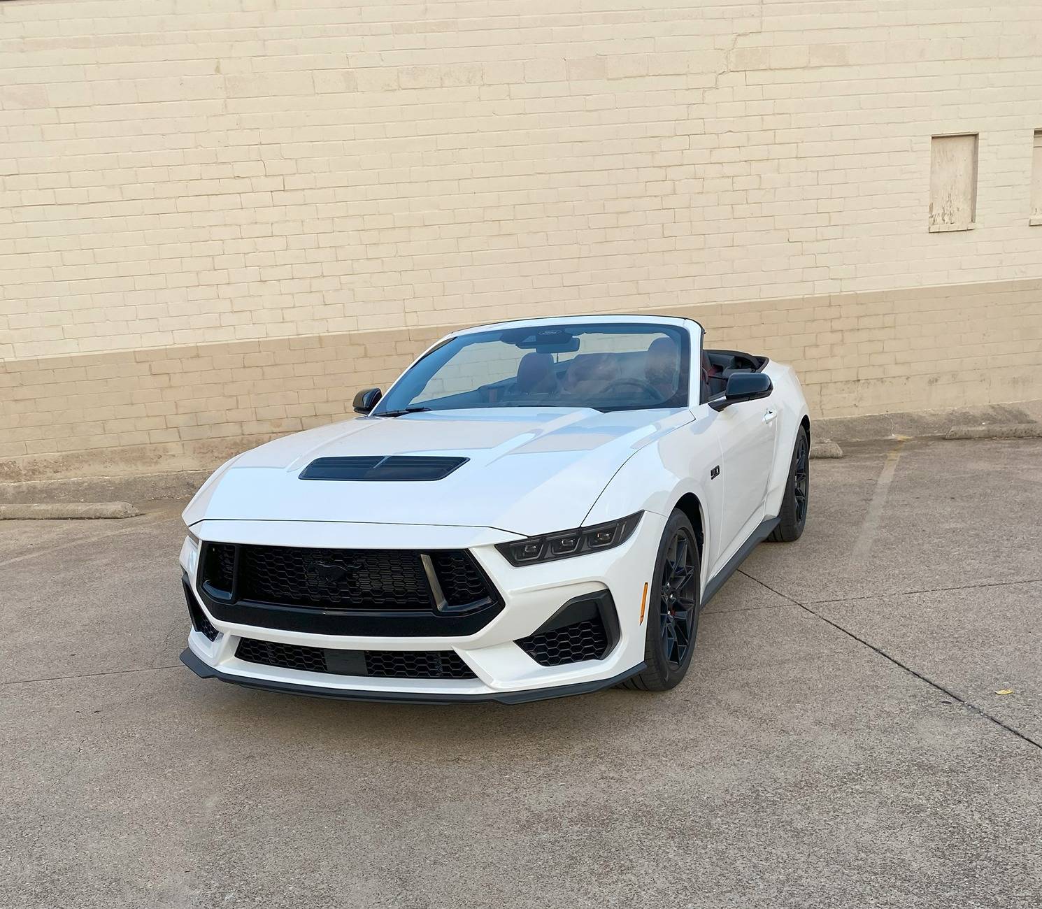 S650 Mustang Introductions & Welcome Thread 👋 Mustang 1