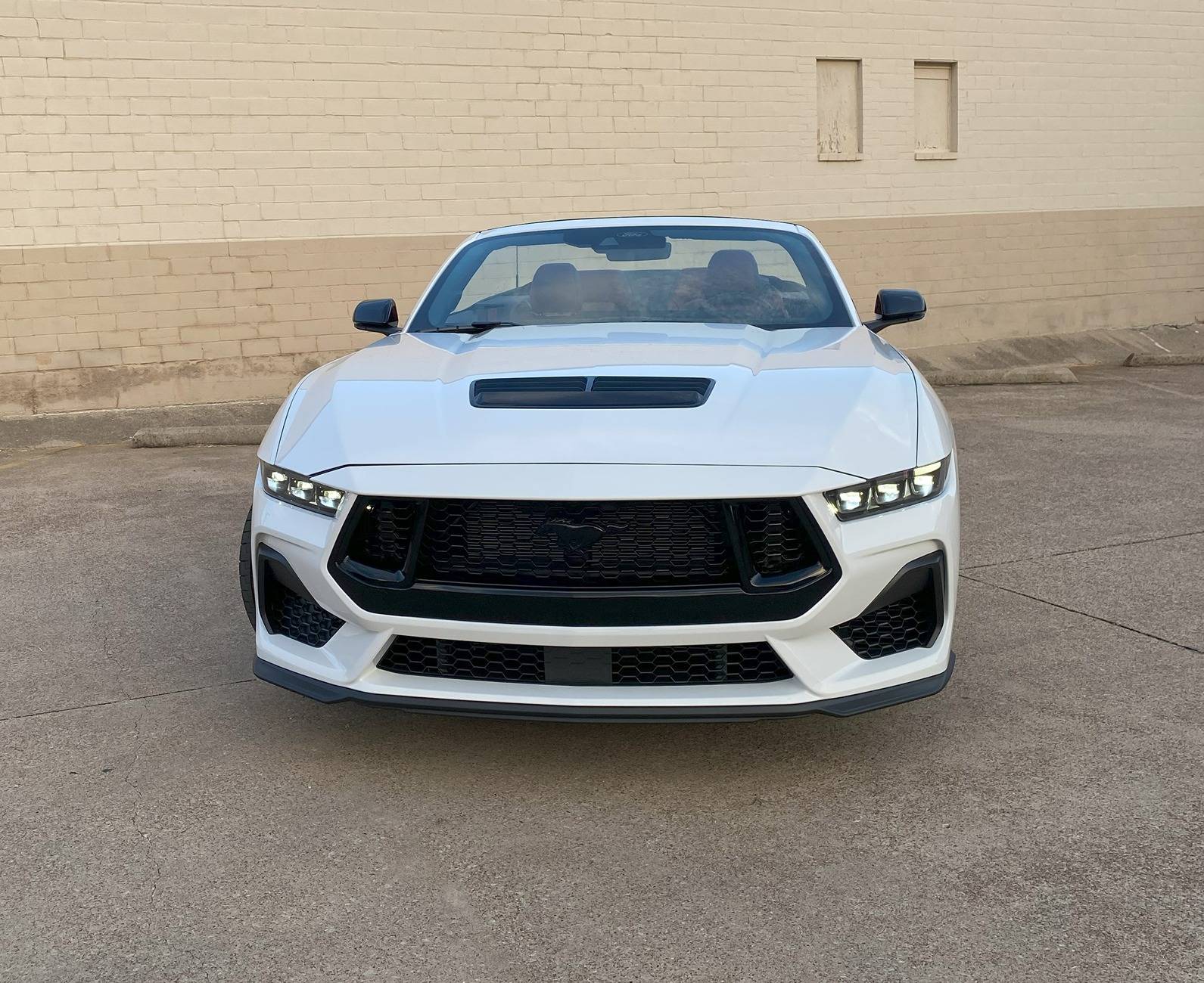 S650 Mustang Introductions & Welcome Thread 👋 Mustang 3 headon