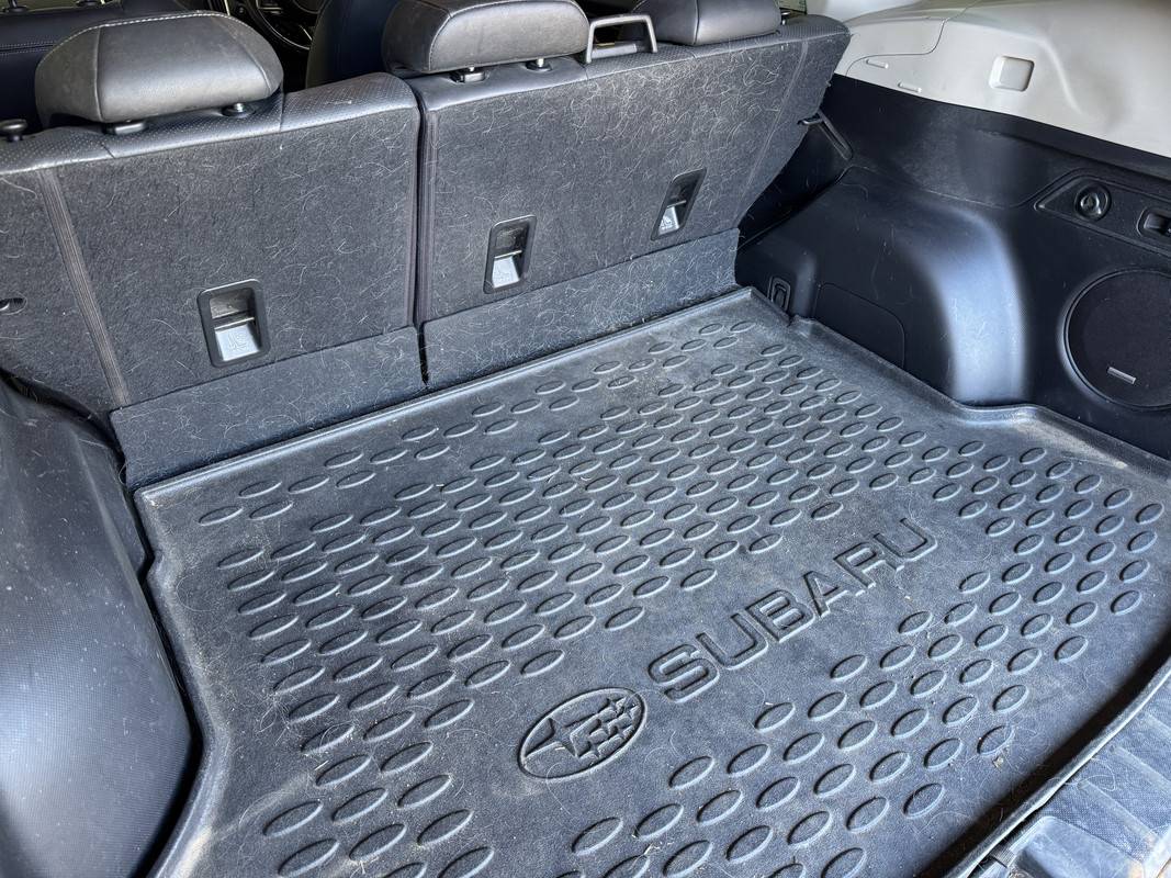 S650 Mustang DFB's Detailing Garage IMG-6317