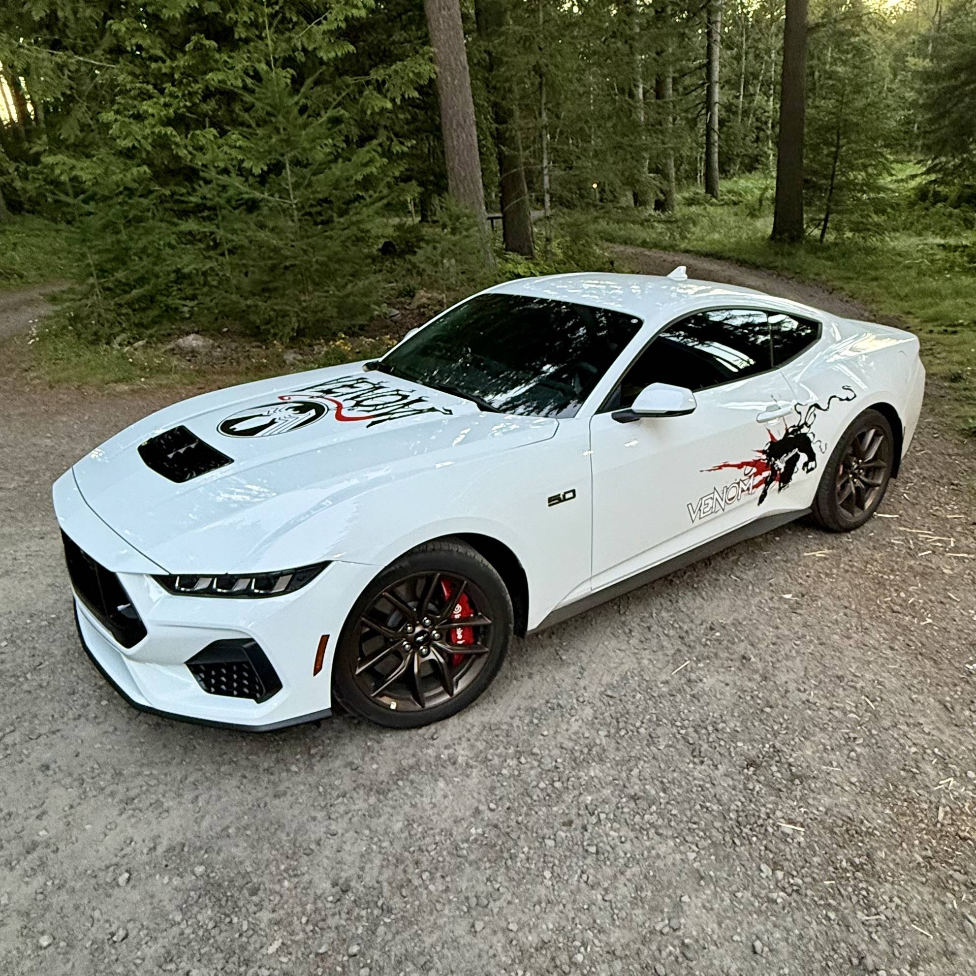 S650 Mustang Venom Graphics for White S650 IMG_5840