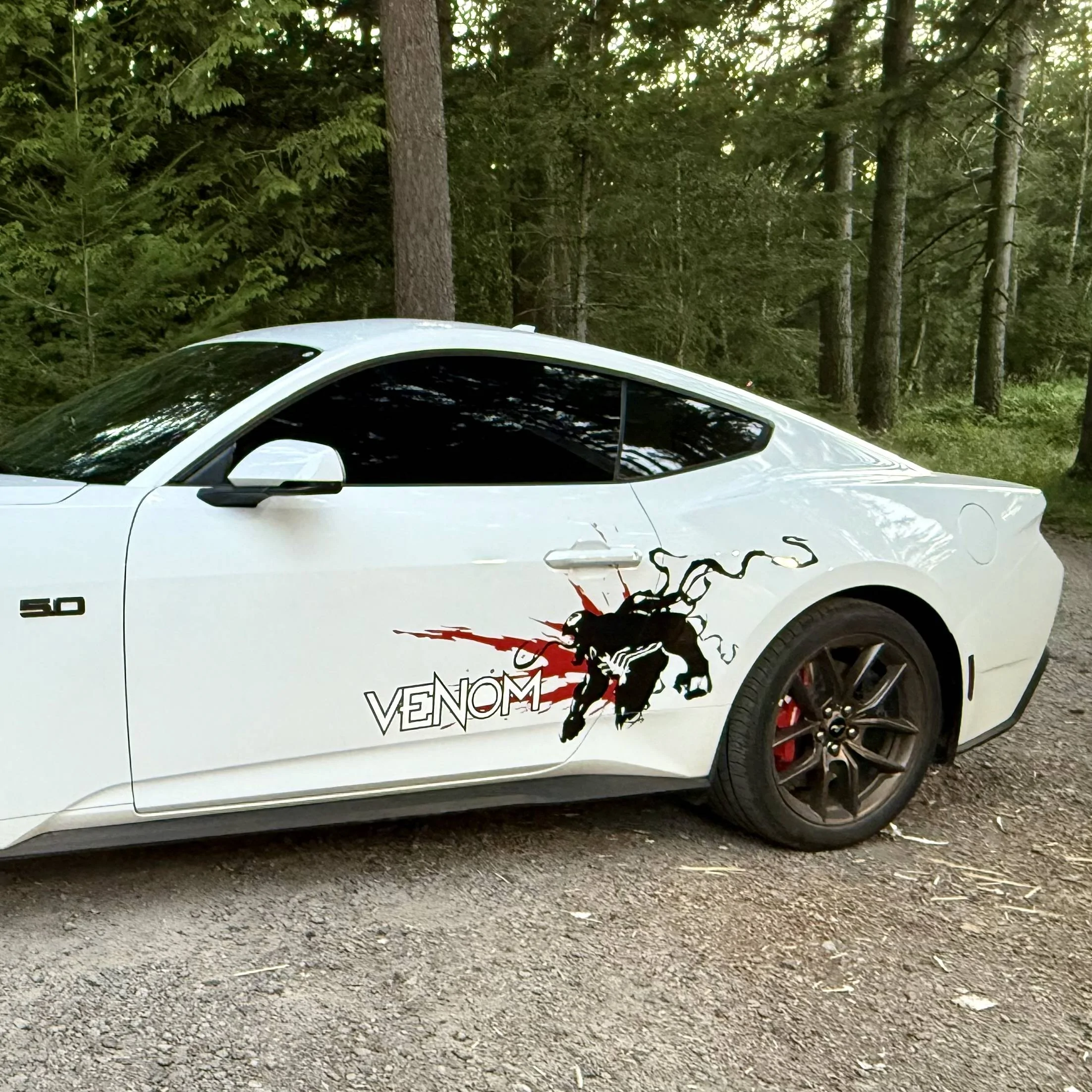 S650 Mustang Venom Graphics for White S650 IMG_5839