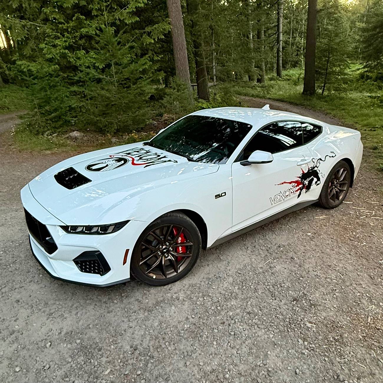 S650 Mustang What did you do to your S650 Mustang today?? 🙋🏻‍♂️ IMG_5840