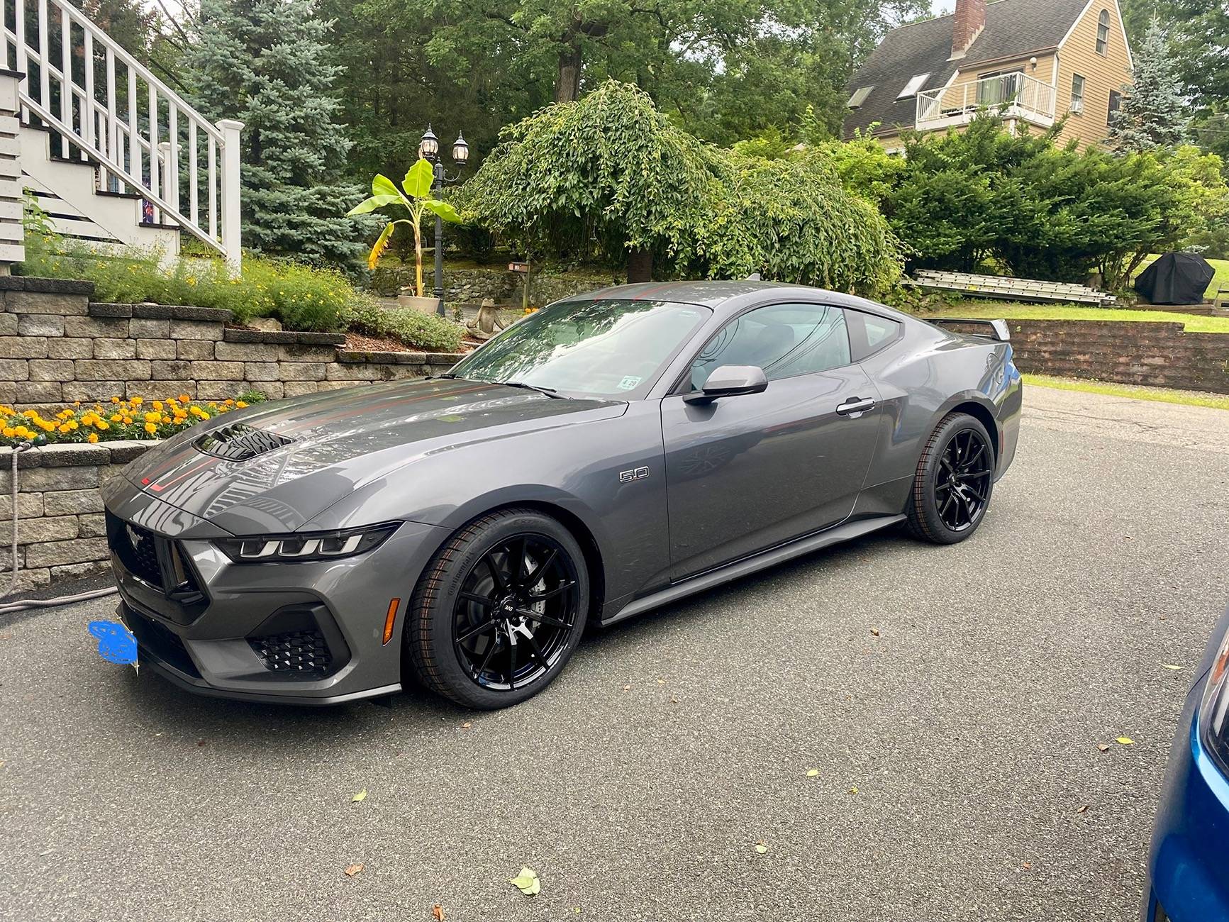 S650 Mustang What did you do to your S650 Mustang today?? 🙋🏻‍♂️ E134887C-D681-4703-B35C-1546445288A2