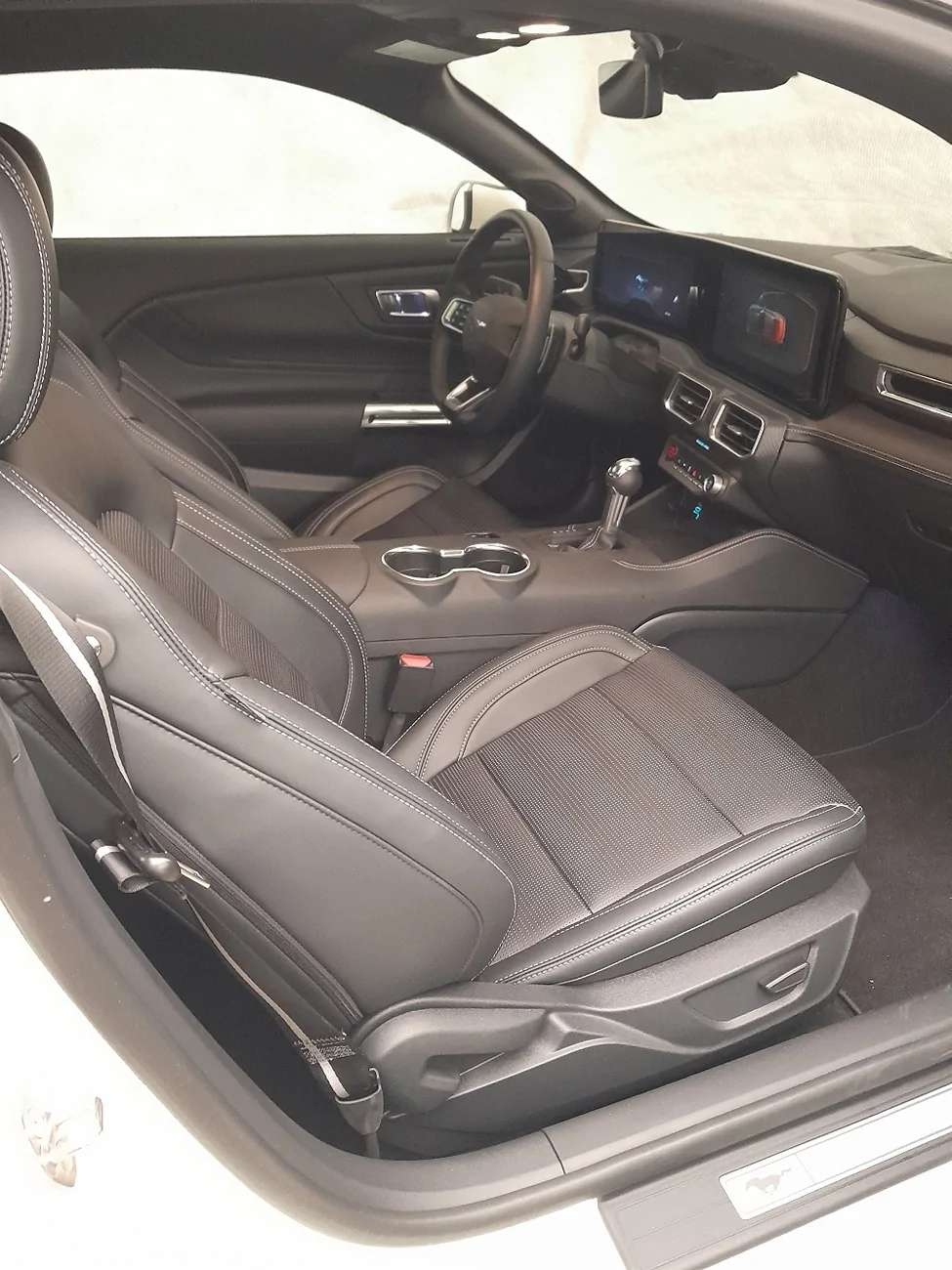 S650 Mustang Unofficial 2025 60th Anniversary Edition Mustang Registry 1000001082
