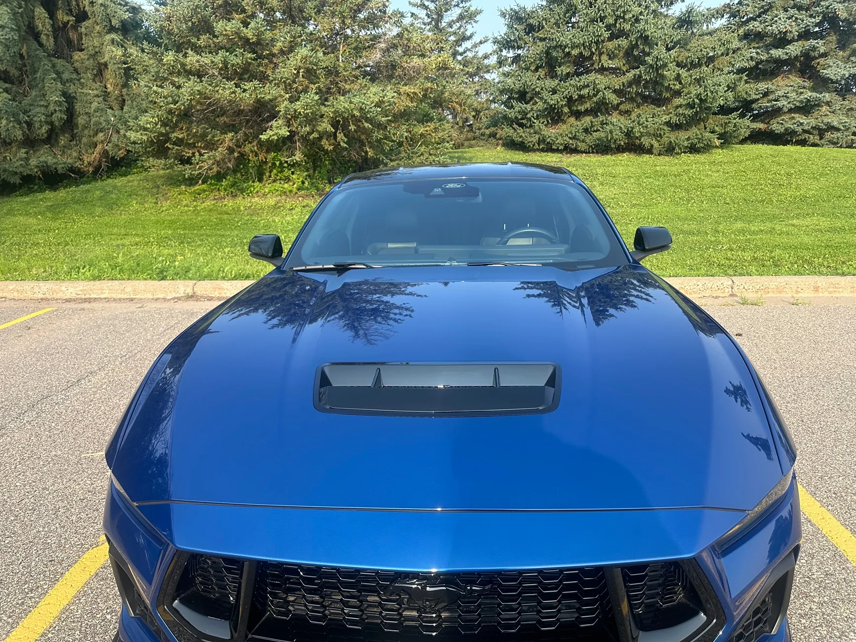S650 Mustang Install of Shelby style hood vent with thermal pics IMG_2520