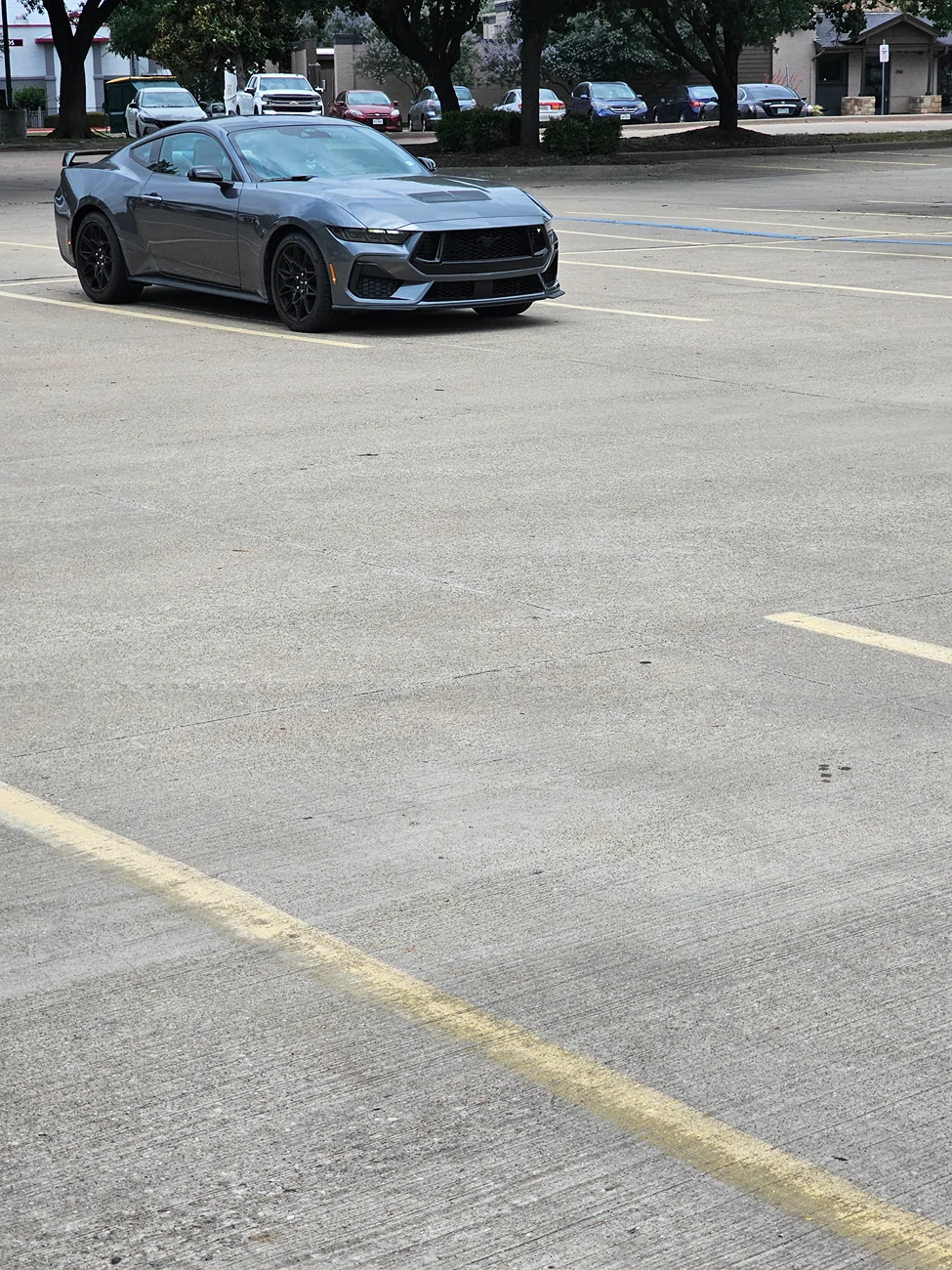 S650 Mustang Official CARBONIZED GRAY Mustang S650 Thread 1000021325